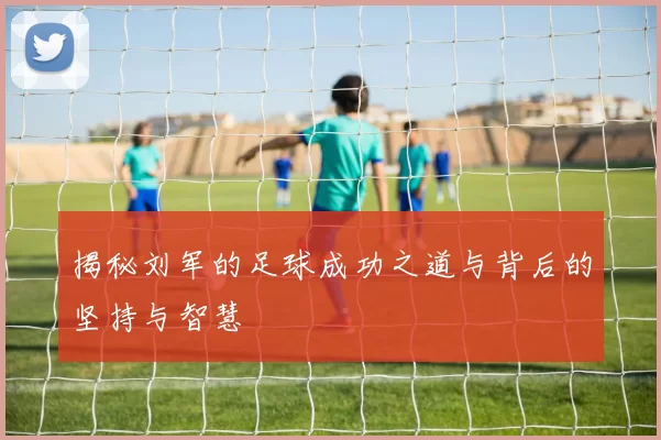 揭秘刘军的足球成功之道与背后的坚持与智慧